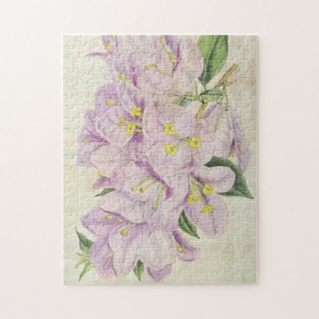 Quebra-cabeça Vintage Botanical Showy Bougainvillea (Vertical)
