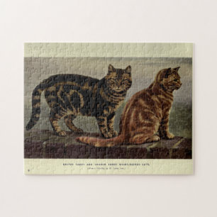 Quebra-cabeça Vintage Cute Cats Brown Orange Tabby Short Hair