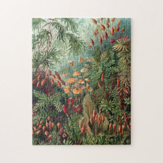 Quebra-cabeça Vintage Ernst Haeckel Moss Poster