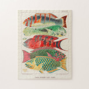 Quebra-cabeça Vintage Excelente Barrier Reef of Australia Fishes