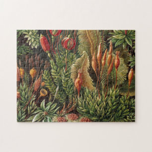 Quebra-cabeça Vintage Haeckel Plant Life Impressão