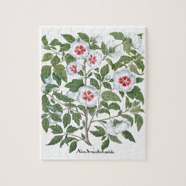 Quebra-cabeça Vintage Hibiscus Flowers de Basilius Besler (Vertical)