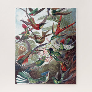 Quebra-cabeça Vintage Hummingbird Antigo Livro Ilustração Arte