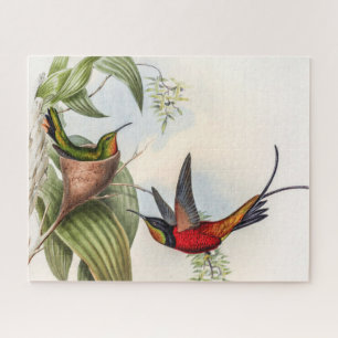 Quebra-cabeça Vintage Hummingbird por John Gould