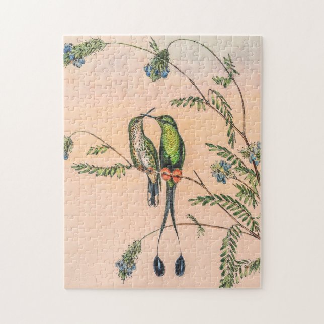 Quebra-cabeça Vintage Hummingbird por John Gould (Vertical)