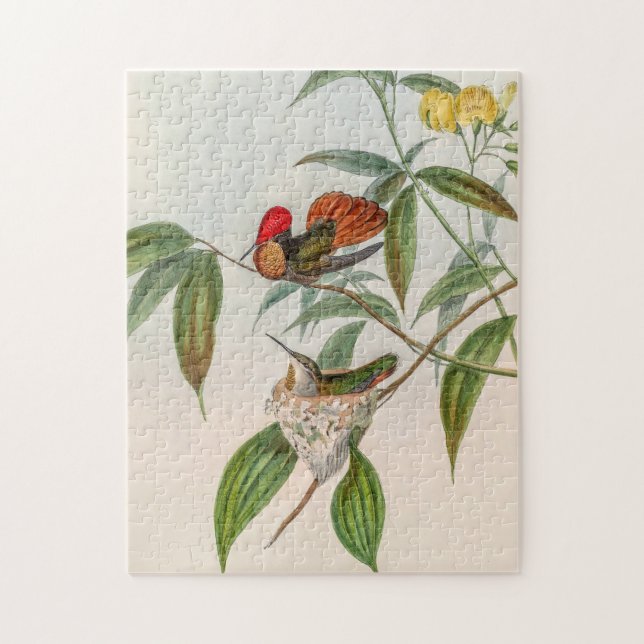 Quebra-cabeça Vintage Hummingbird por John Gould (Vertical)