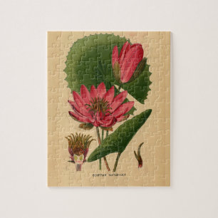 Quebra-cabeça Vintage Impressão de água rosa Lily Lotus