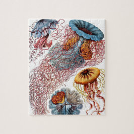 Quebra-cabeça Vintage Jellyfish, de Ernst Haeckel, Discomedusae