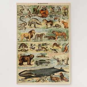 Quebra-cabeça Vintage Mammals Animais Antiga Ilustração Arte