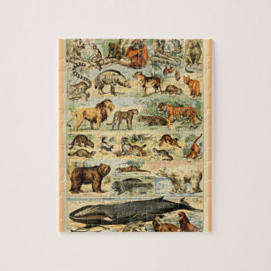 Quebra-cabeça Vintage Mammals Animais Antiga Ilustração Arte