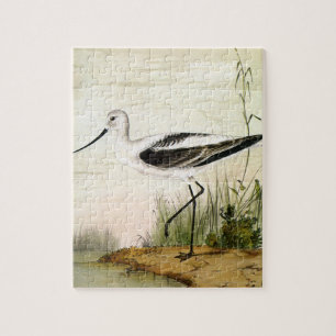 Quebra-cabeça Vintage Marine Life Shorebird , aves evitadas