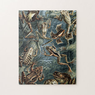 Quebra-cabeça Vintage Naturalist Ernst Haeckel Sapos e Sapos P