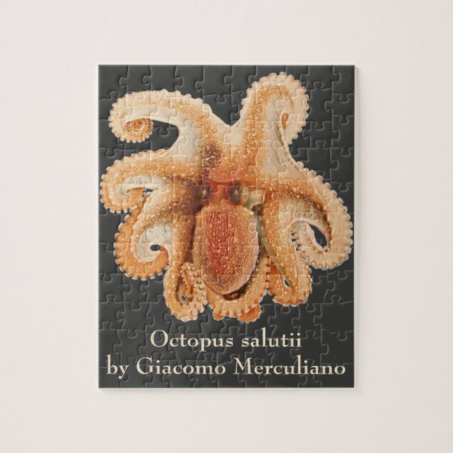 Quebra-cabeça Vintage Octopus Salutii, Animais Aquáticos Marinho (Vertical)