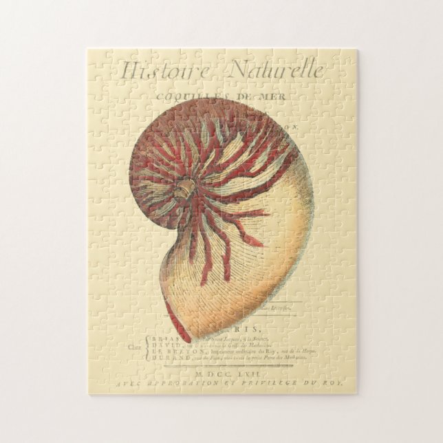 Quebra-cabeça Vintage Red Conch Shell (Vertical)