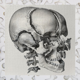 Quebra-cabeça Vintage Science Anatomia Humana, Crânio Antiquado