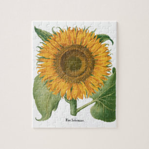 Quebra-cabeça Vintage Sunflower Flower por Basilius Besler