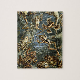 Quebra-cabeça Vintage Toads e Sapos Batrachia por Ernst Haeckel