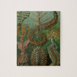 Quebra-cabeça Vintage Worms Annelids Chaetopoda por Ernst Haecke