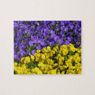 Quebra-cabeça Violas roxas e amarelas coloridas