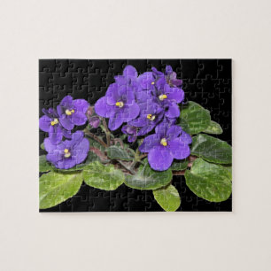 Quebra-cabeça Violeta africana