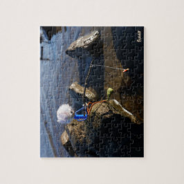 Quebra-cabeça Vissende Fubby op een steen.