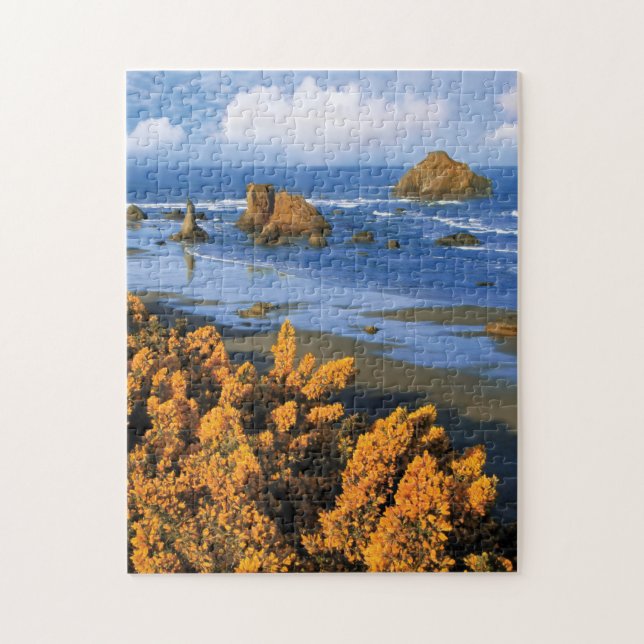 Quebra-cabeça Vista da Praia de Oregon em Bandon (Vertical)