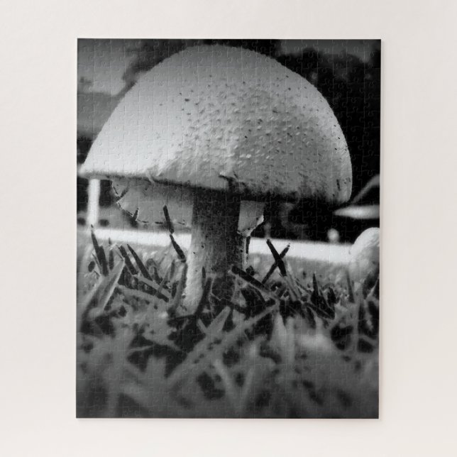 Quebra-cabeça Vista de Olho de Inseto (Vertical)