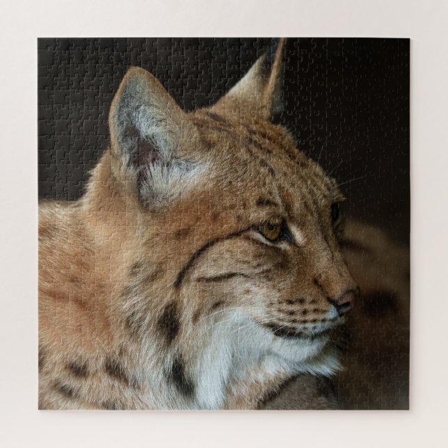 Quebra-cabeça Vista Intensa: Fechamento de um Lynx (Vertical)