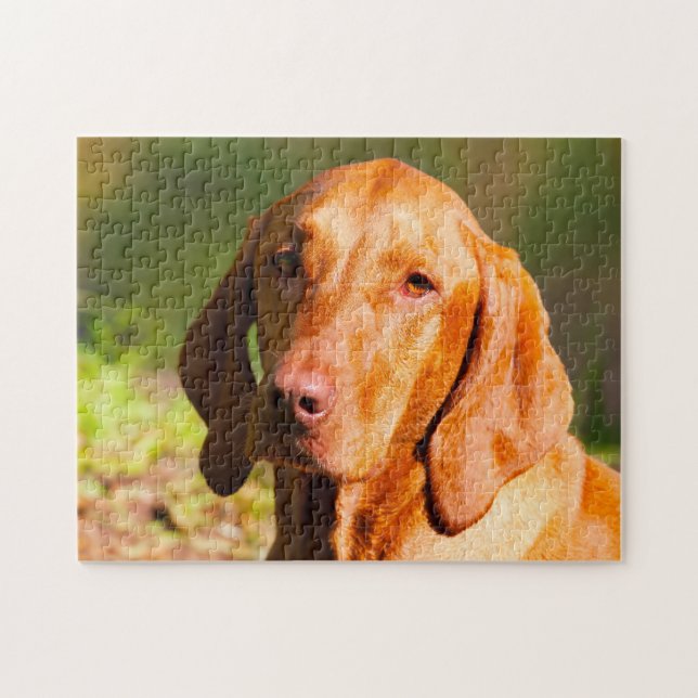 Quebra-cabeça Vizla Dog Jigsaws húngaro. (Horizontal)