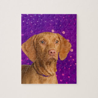 Quebra-cabeça Vizsla - filhote de cachorro húngaro do ponteiro