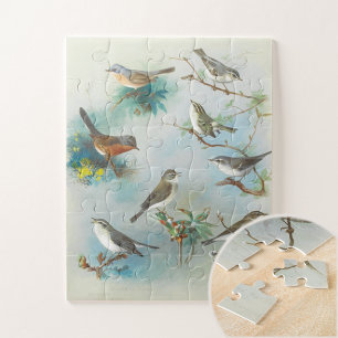 Quebra-cabeça Warbler e Wrens,