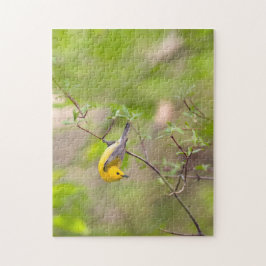 Quebra-cabeça Warbler Prothonotário