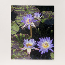 Quebra-cabeça Water Lilies