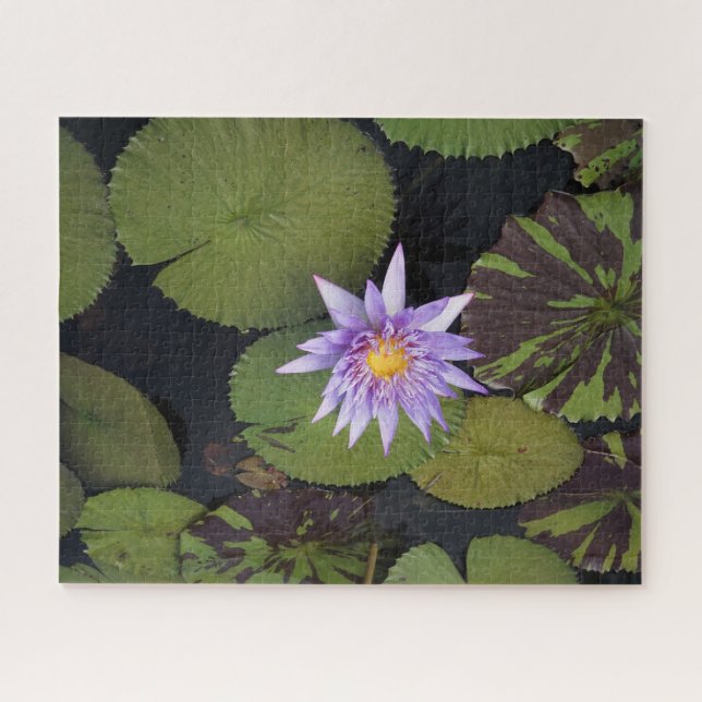 Quebra-cabeça Water Lily (Horizontal)