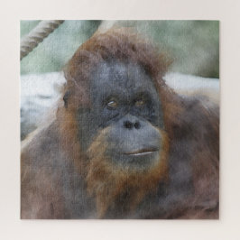 Quebra-cabeça Watercolor Orangotcolor