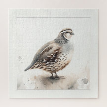 Watercolor Quail IREF284 - Watercolor