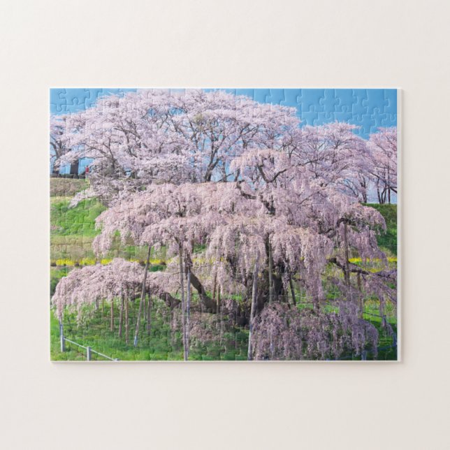 Quebra-cabeça waterfall cherry blossom tree (Horizontal)