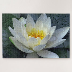 Quebra-cabeça Waterlily