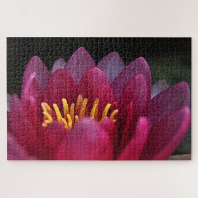 Quebra-cabeça Waterlily Rosa (Horizontal)