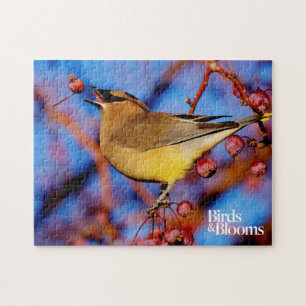 Quebra-cabeça Waxwing de cedro
