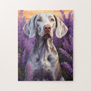 Quebra-cabeça Weimaraner no campo da Lavanda