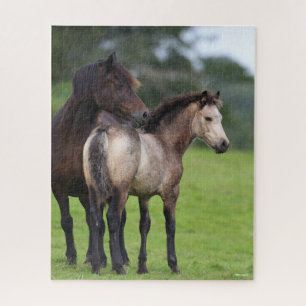 Quebra-cabeça Welsh Section D Mare e Foal Stander