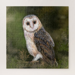Quebra-cabeça Western Barn Owl - Imigração de Pintura de Cores d