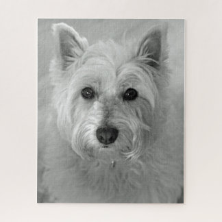 Quebra-cabeça Westie (West Highland White Terrier)