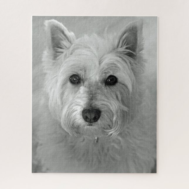 Quebra-cabeça Westie (West Highland White Terrier) (Vertical)