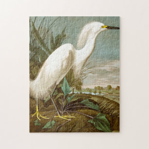 Quebra-cabeça White Heron por John James Audubon