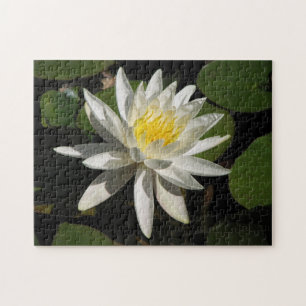 Quebra-cabeça White Lily