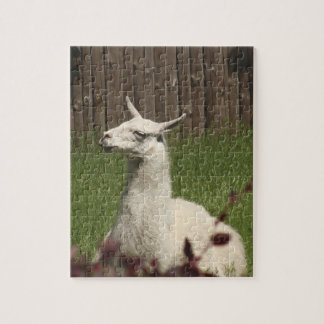 Quebra-cabeça White Llama