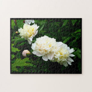Quebra-cabeça White Peony Trio