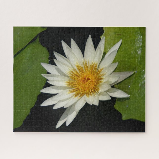 Quebra-cabeça White Waterlily (Horizontal)
